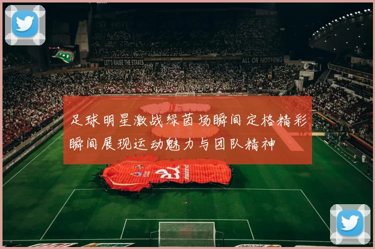 足球明星激战绿茵场瞬间定格精彩瞬间展现运动魅力与团队精神