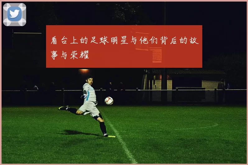 看台上的足球明星与他们背后的故事与荣耀