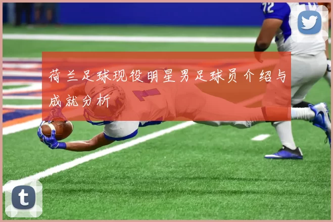 荷兰足球现役明星男足球员介绍与成就分析