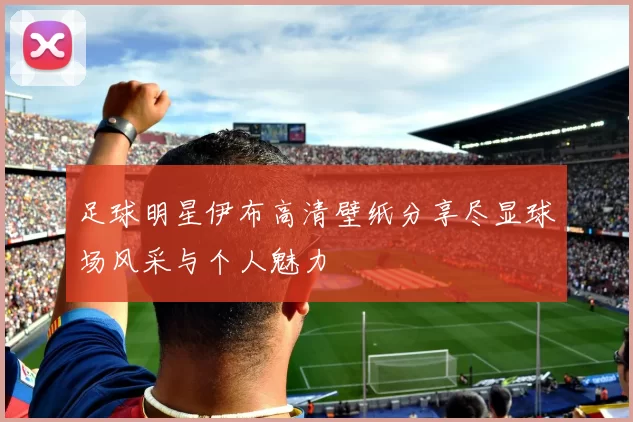 足球明星伊布高清壁纸分享尽显球场风采与个人魅力