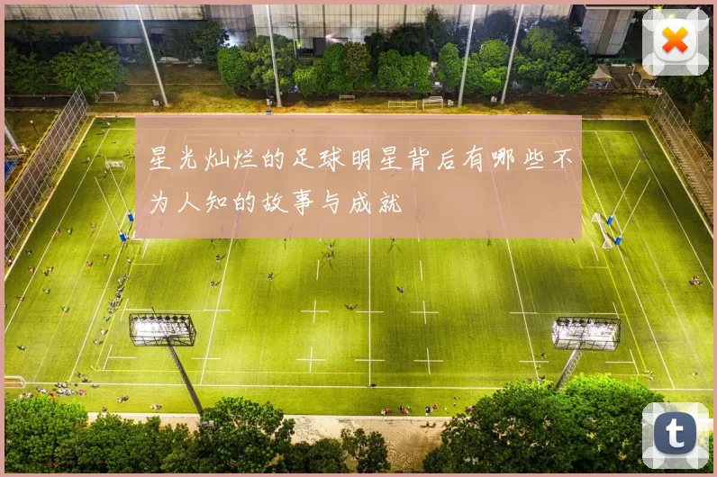 星光灿烂的足球明星背后有哪些不为人知的故事与成就