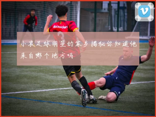 小哀足球明星的家乡揭秘你知道他来自哪个地方吗