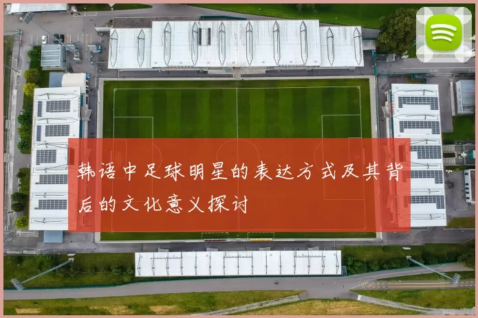 韩语中足球明星的表达方式及其背后的文化意义探讨