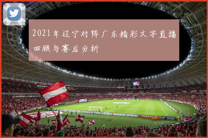 2021年辽宁对阵广东精彩文字直播回顾与赛后分析