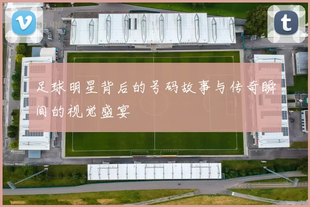 足球明星背后的号码故事与传奇瞬间的视觉盛宴