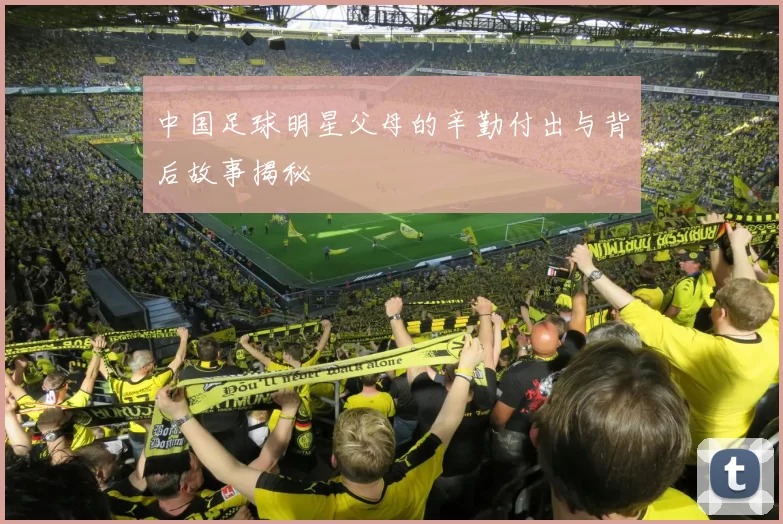 中国足球明星父母的辛勤付出与背后故事揭秘