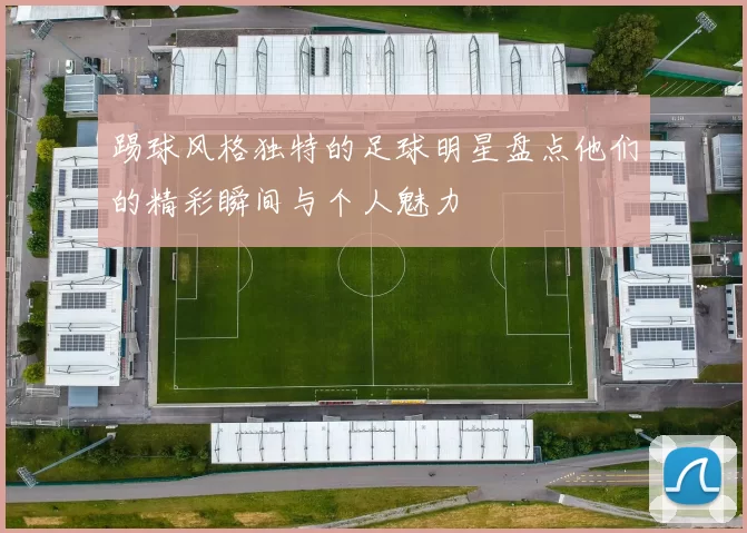 踢球风格独特的足球明星盘点他们的精彩瞬间与个人魅力