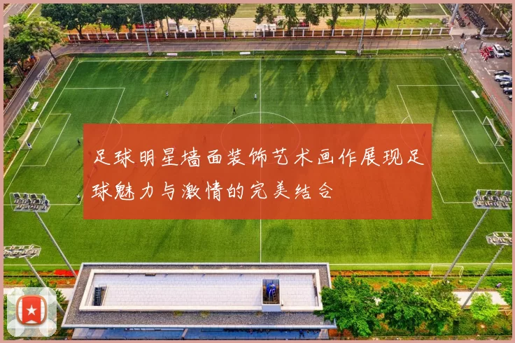足球明星墙面装饰艺术画作展现足球魅力与激情的完美结合