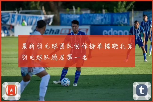 最新羽毛球团队协作榜单揭晓北京羽毛球队稳居第一名