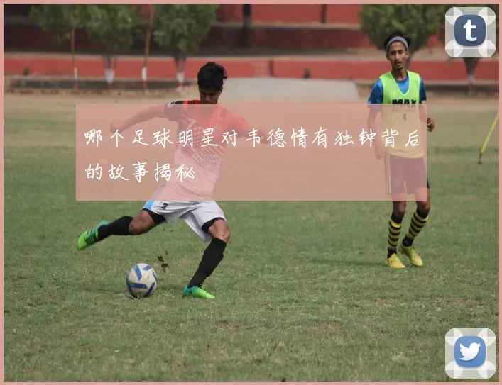 哪个足球明星对韦德情有独钟背后的故事揭秘