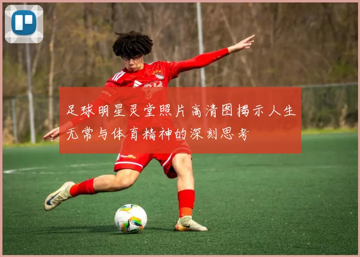 足球明星灵堂照片高清图揭示人生无常与体育精神的深刻思考