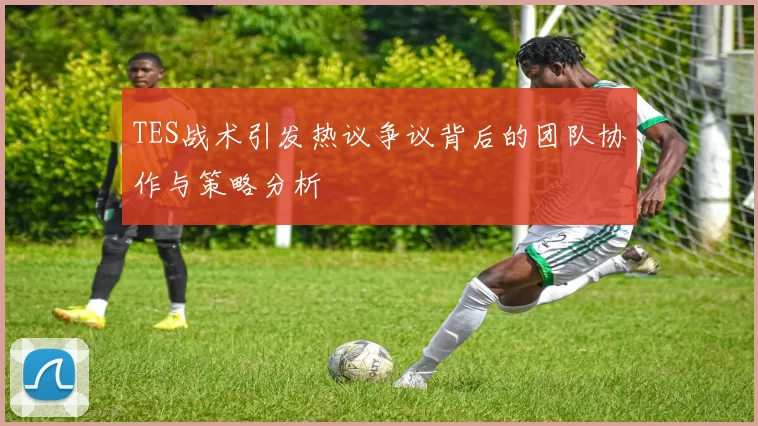TES战术引发热议争议背后的团队协作与策略分析