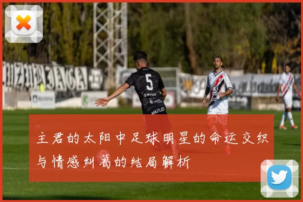 主君的太阳中足球明星的命运交织与情感纠葛的结局解析
