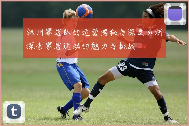 杭州攀岩队的运营揭秘与深度分析探索攀岩运动的魅力与挑战