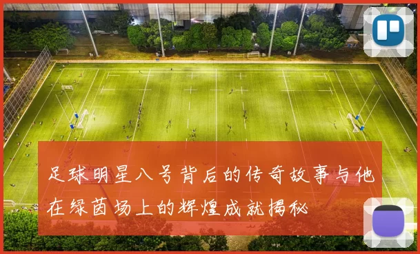 足球明星八号背后的传奇故事与他在绿茵场上的辉煌成就揭秘