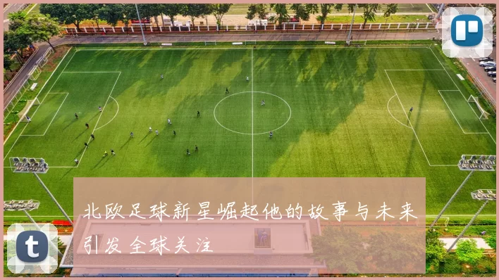 北欧足球新星崛起他的故事与未来引发全球关注
