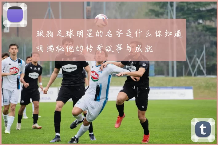 狼狗足球明星的名字是什么你知道吗揭秘他的传奇故事与成就