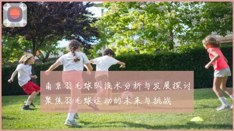 南京羽毛球队技术分析与发展探讨聚焦羽毛球运动的未来与挑战