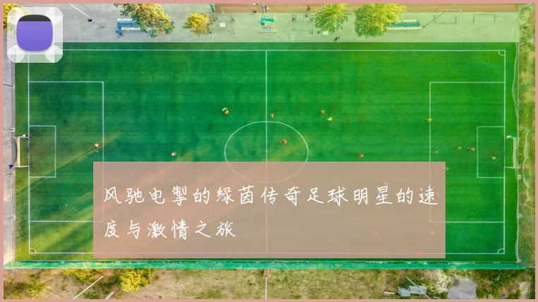 风驰电掣的绿茵传奇足球明星的速度与激情之旅