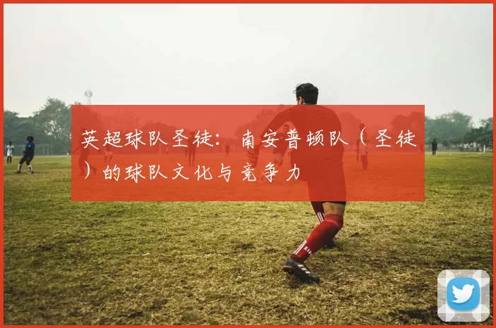 英超球队圣徒：南安普顿队（圣徒）的球队文化与竞争力