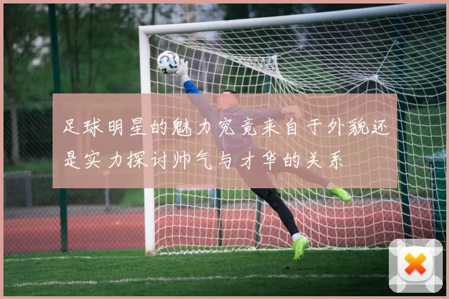 足球明星的魅力究竟来自于外貌还是实力探讨帅气与才华的关系