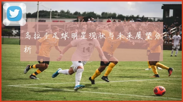 乌拉圭足球明星现状与未来展望分析