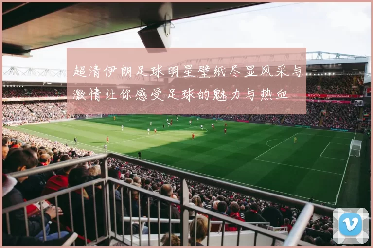 超清伊朗足球明星壁纸尽显风采与激情让你感受足球的魅力与热血