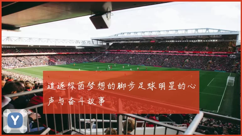 追逐绿茵梦想的脚步足球明星的心声与奋斗故事